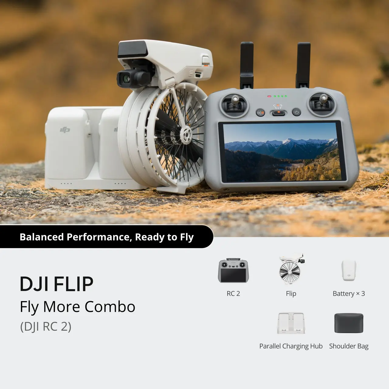 DJI Flip