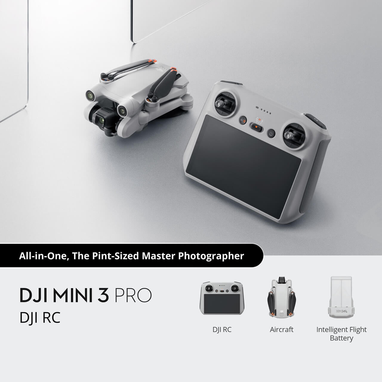 All-in-One,ThePint-SizedMasterPhotographer